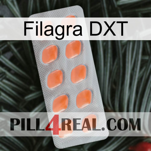 Filagra DXT 26.jpg